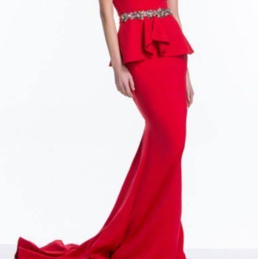 🌺TERANI COUTURE DRESS🌺